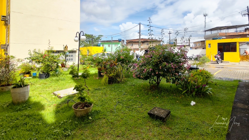 Pernambuco - Camaragibe, Nazaré , Apartamento, (Comprar)