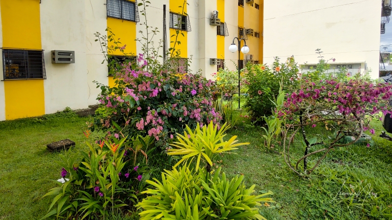 Apartamento à venda com 2 quartos, 1 banheiro, 1 vaga e 47m² no Nazaré, Camaragibe (PE) — foto 14 de 16